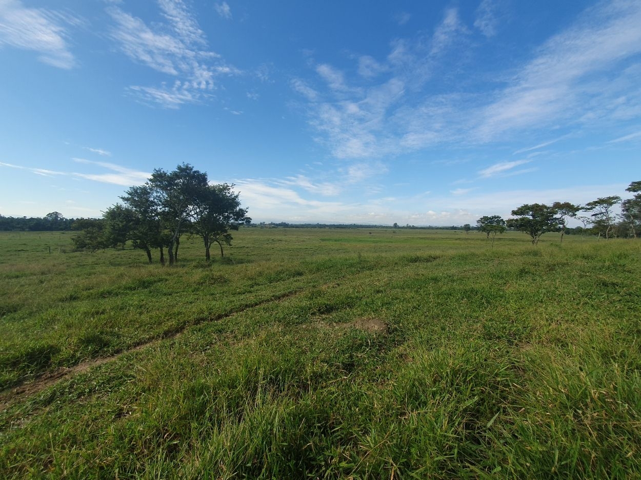 Fazenda, 97 hectares - Foto 48