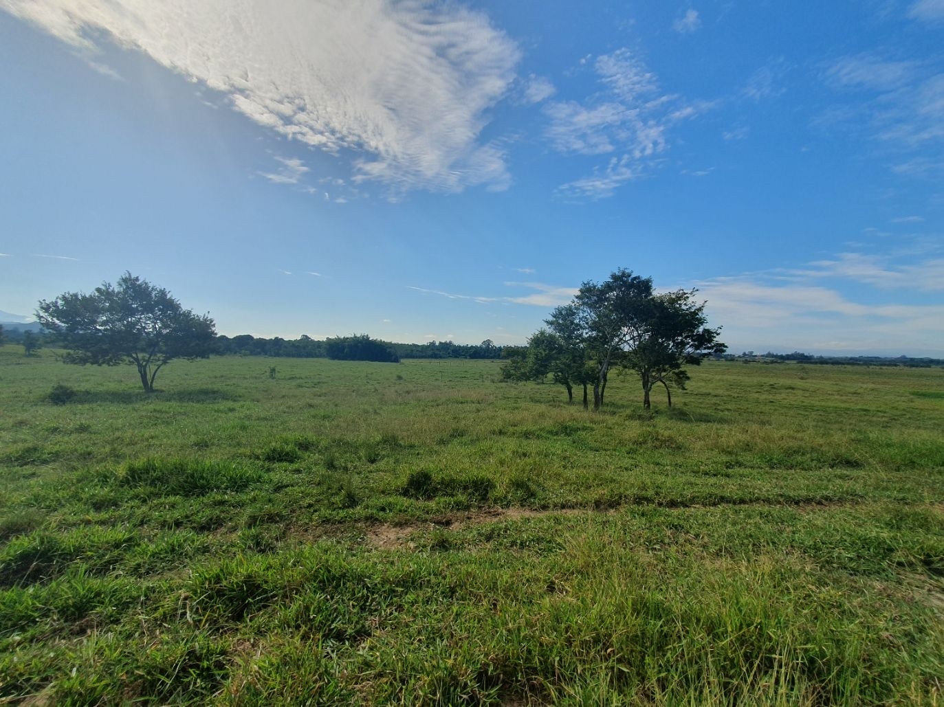 Fazenda, 97 hectares - Foto 49