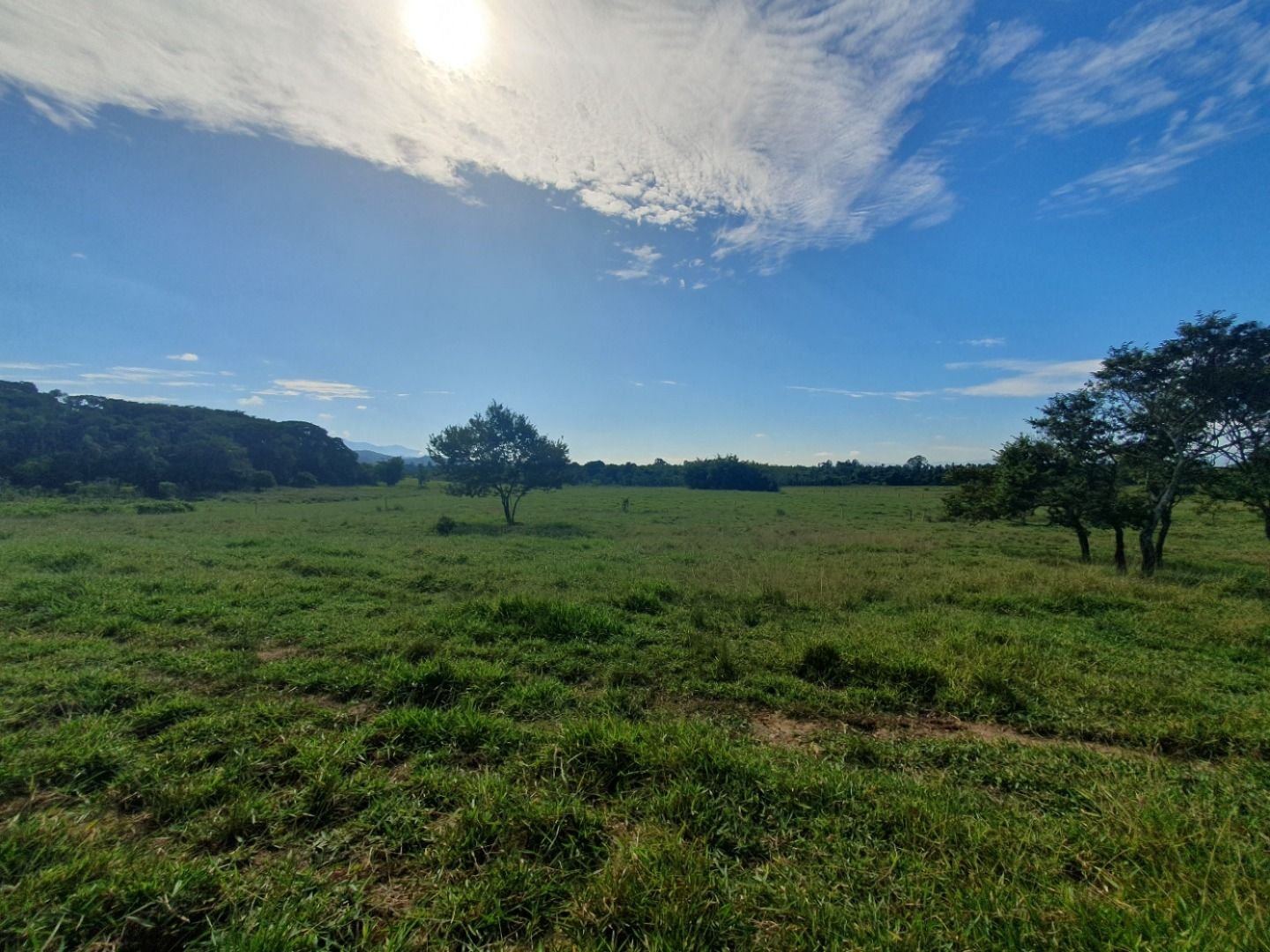 Fazenda, 97 hectares - Foto 50