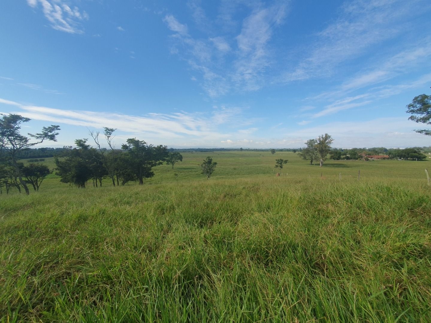 Fazenda, 97 hectares - Foto 51