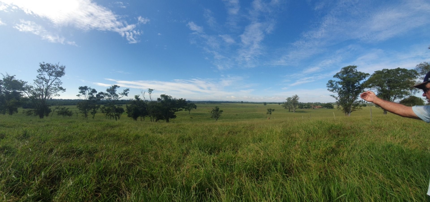 Fazenda, 97 hectares - Foto 52