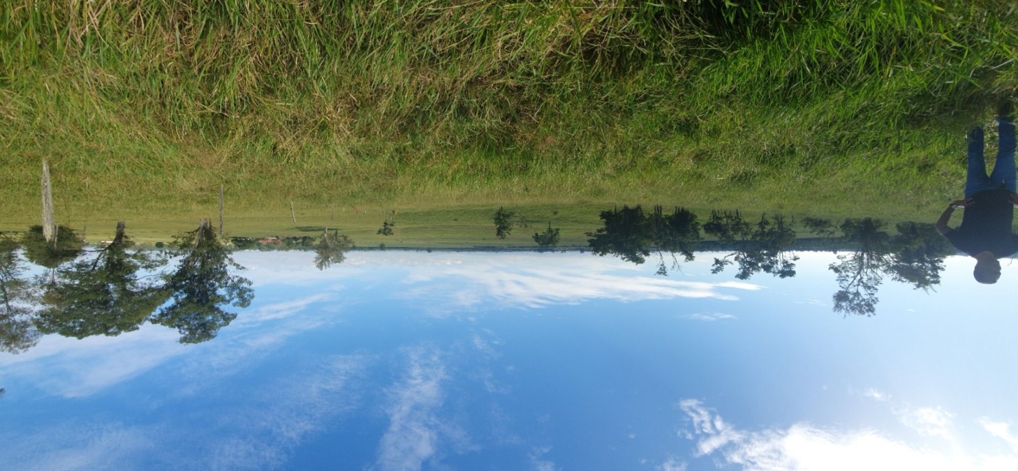 Fazenda, 97 hectares - Foto 53