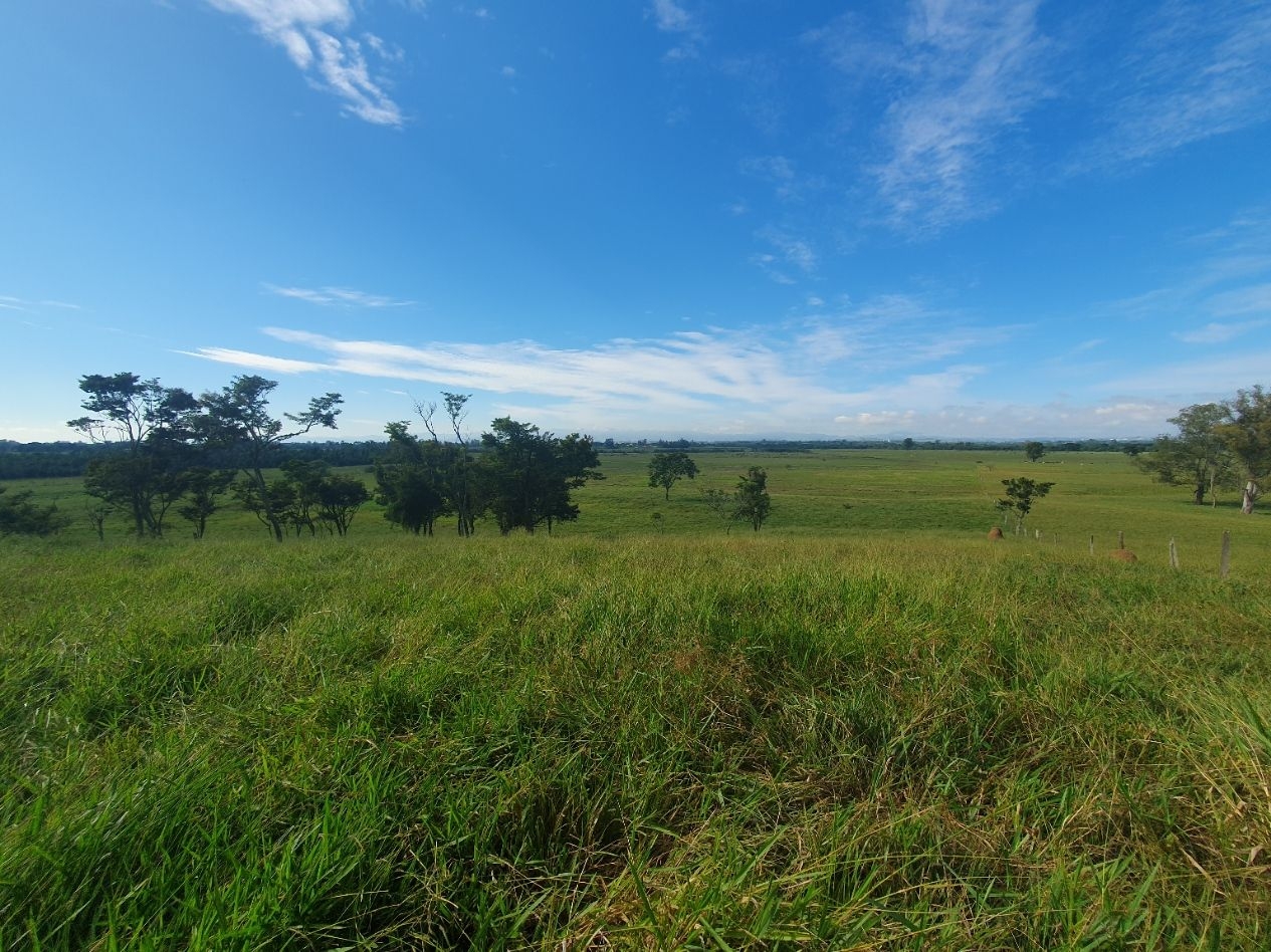 Fazenda, 97 hectares - Foto 54