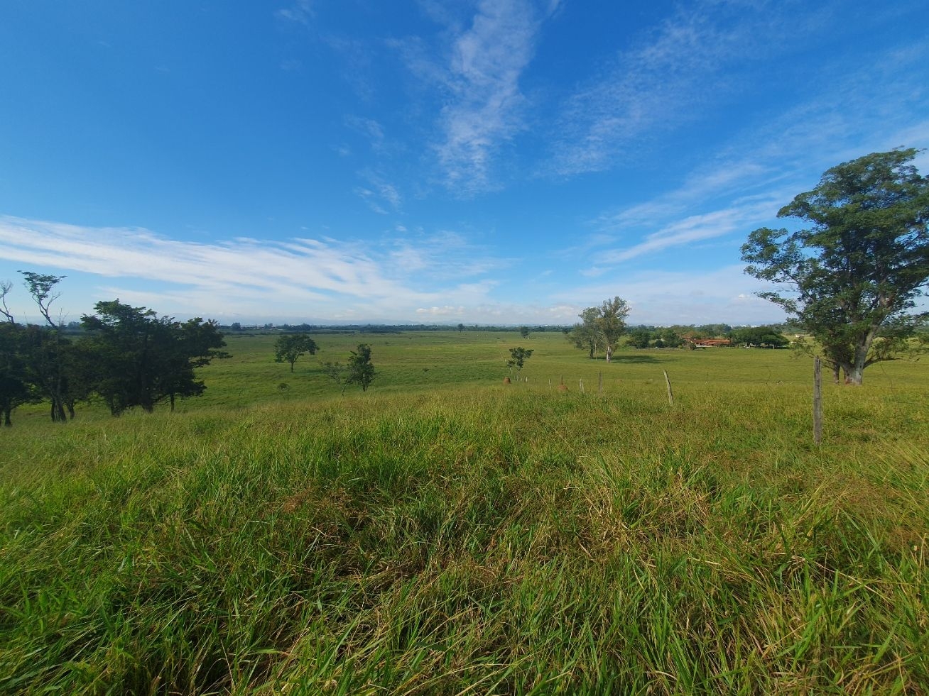 Fazenda, 97 hectares - Foto 55