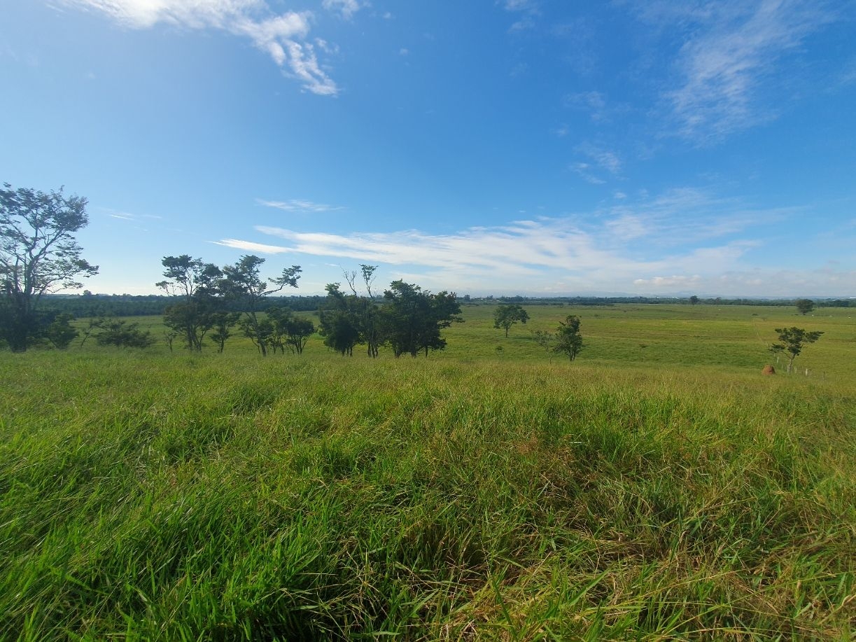 Fazenda, 97 hectares - Foto 56