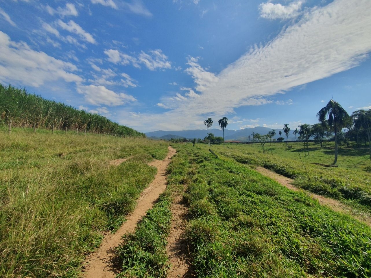 Fazenda, 97 hectares - Foto 57