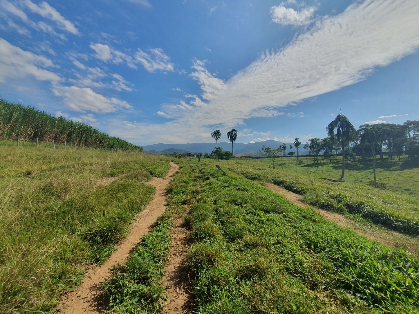 Fazenda, 97 hectares - Foto 58