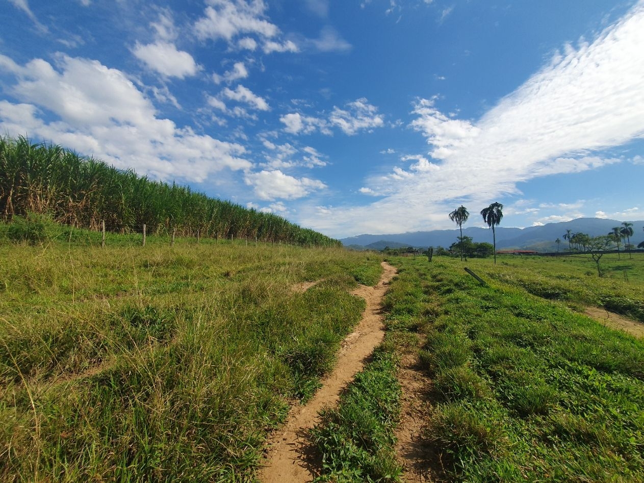 Fazenda, 97 hectares - Foto 59