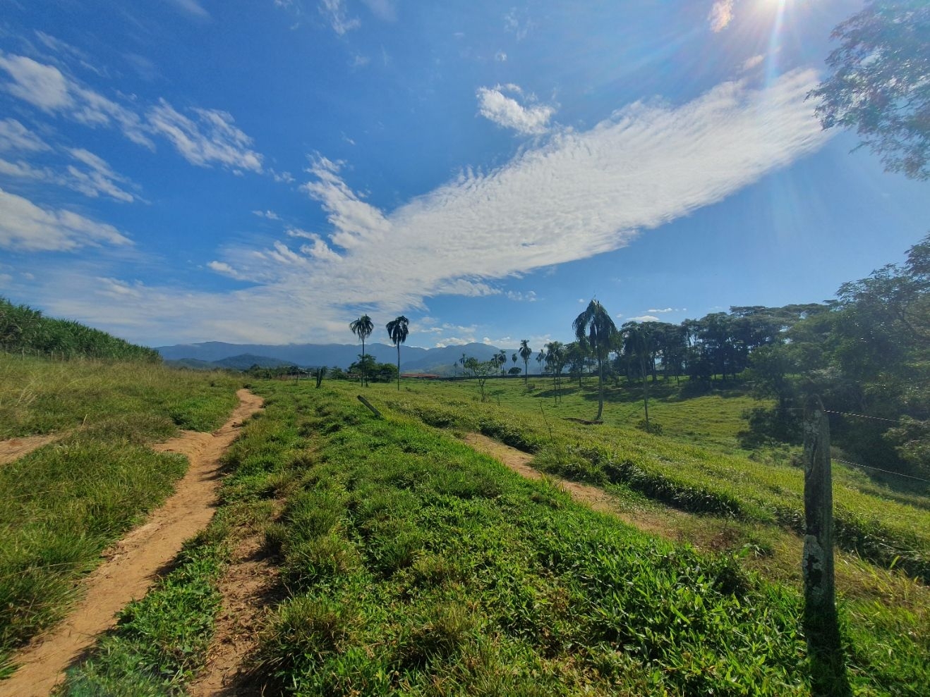 Fazenda, 97 hectares - Foto 60