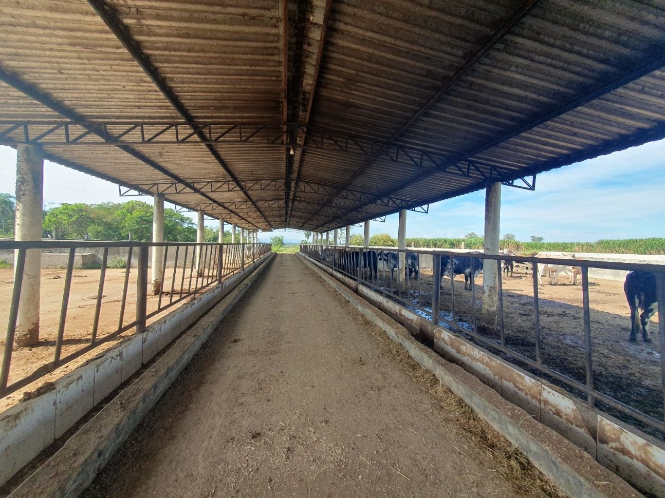 Fazenda, 97 hectares - Foto 61