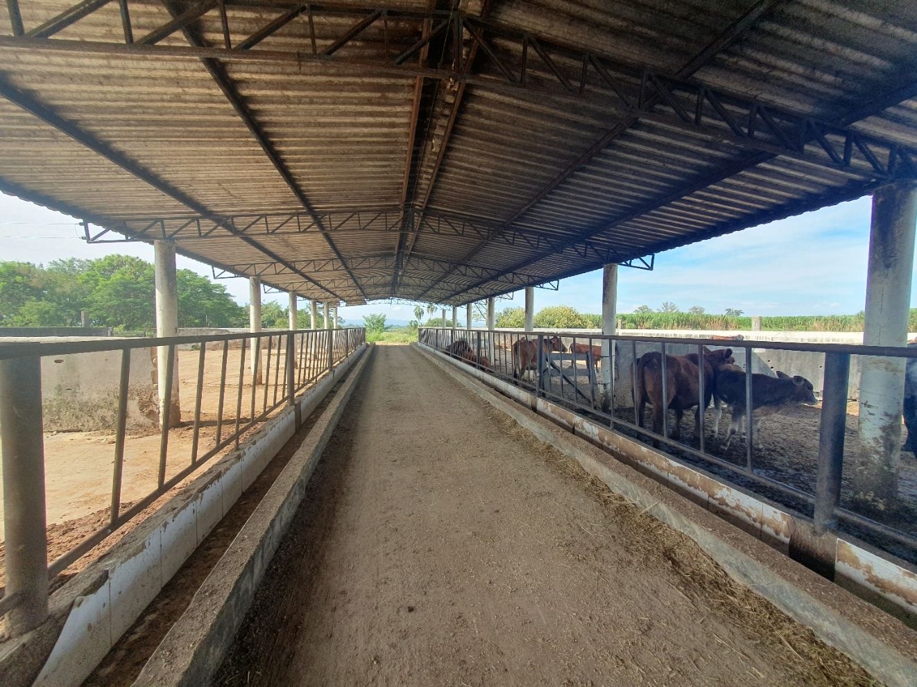 Fazenda, 97 hectares - Foto 64