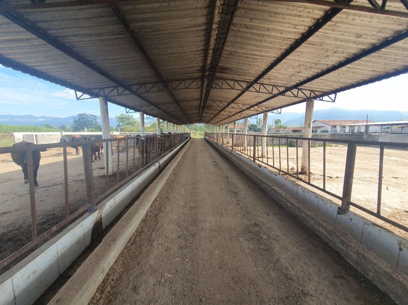 Fazenda, 97 hectares - Foto 65