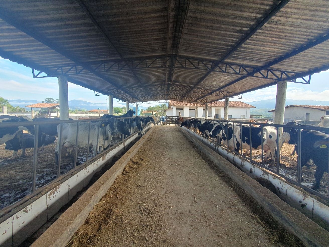 Fazenda, 97 hectares - Foto 66