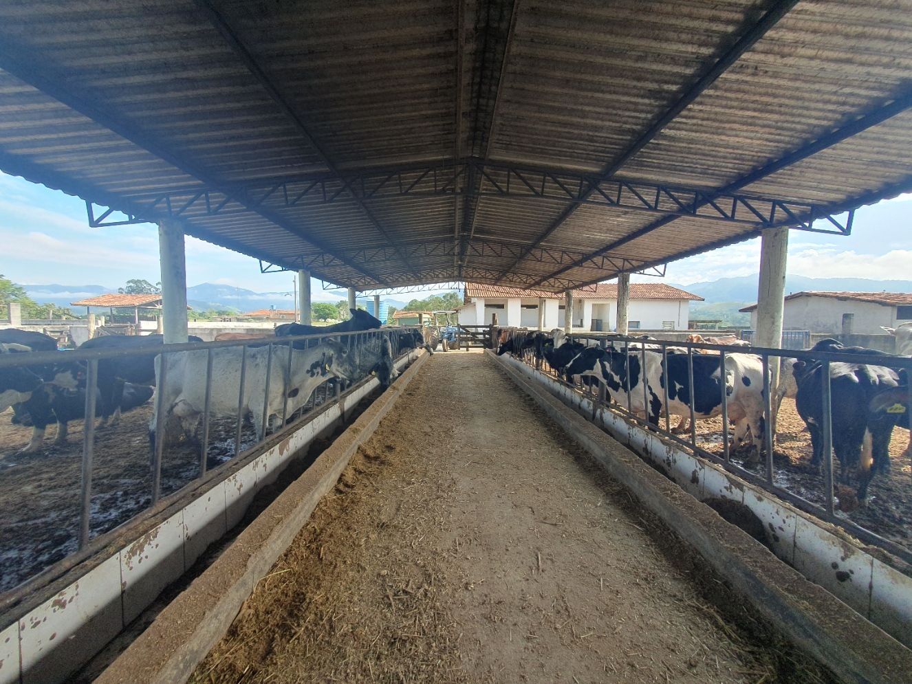 Fazenda, 97 hectares - Foto 67