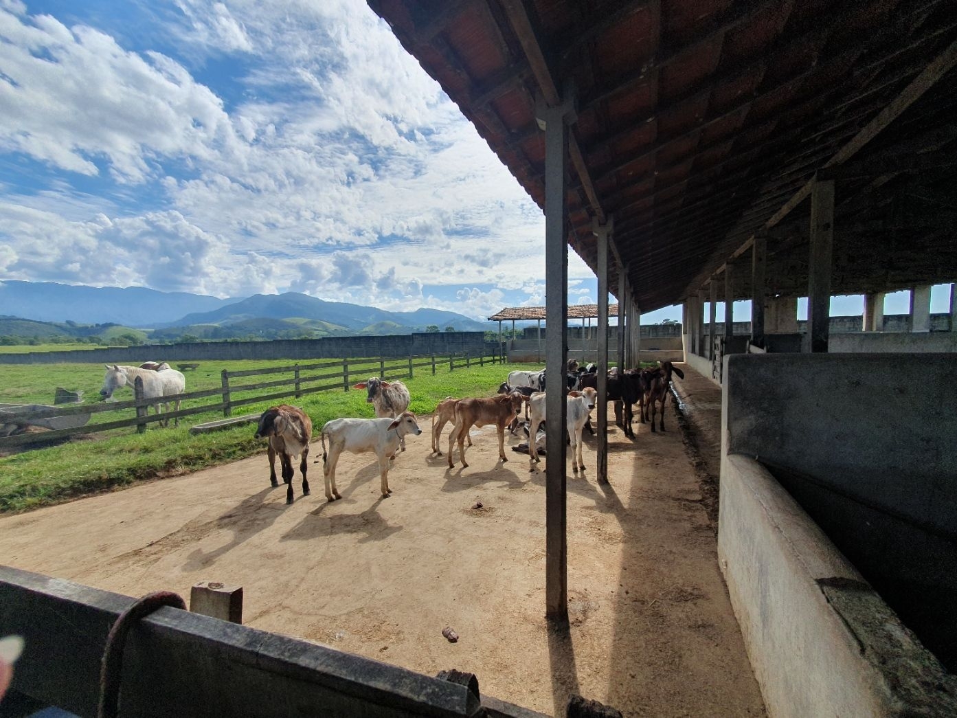 Fazenda, 97 hectares - Foto 70