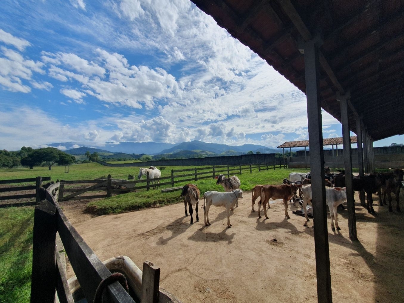 Fazenda, 97 hectares - Foto 71