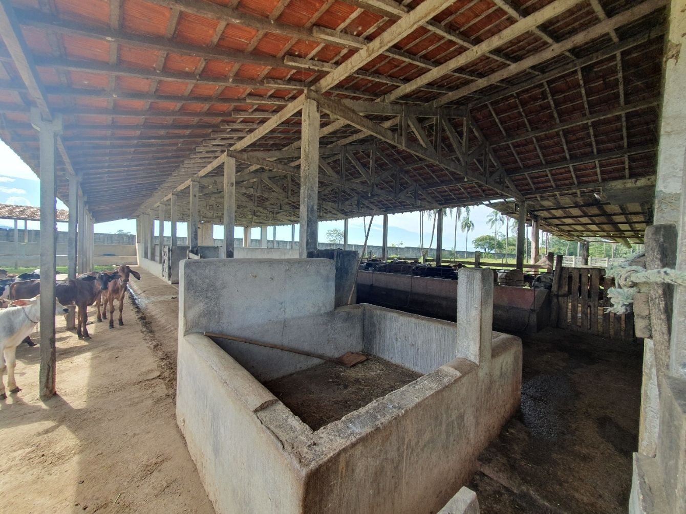 Fazenda, 97 hectares - Foto 72