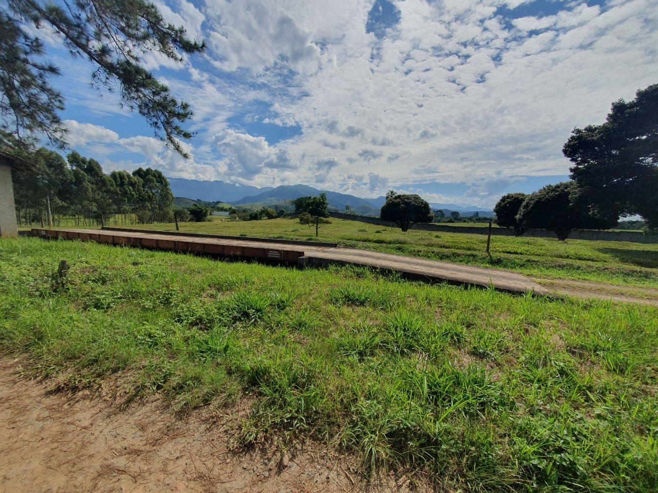 Fazenda, 97 hectares - Foto 77