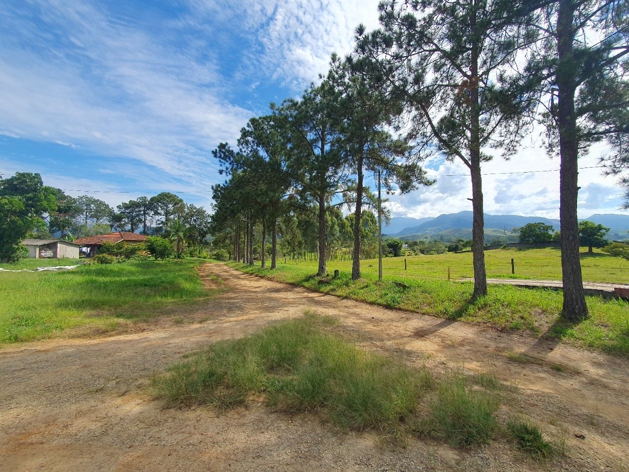 Fazenda, 97 hectares - Foto 81