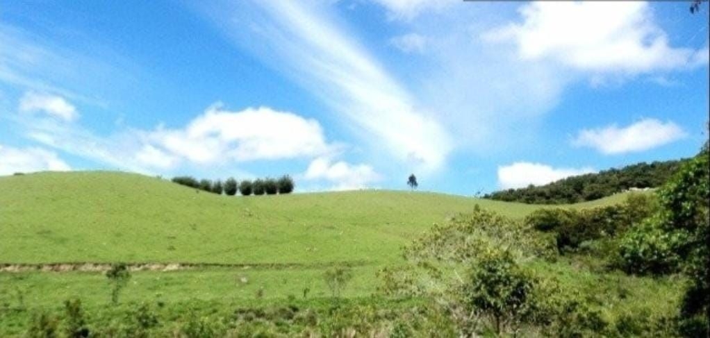 Fazenda-Sítio-Chácara, 300 m² - Foto 4