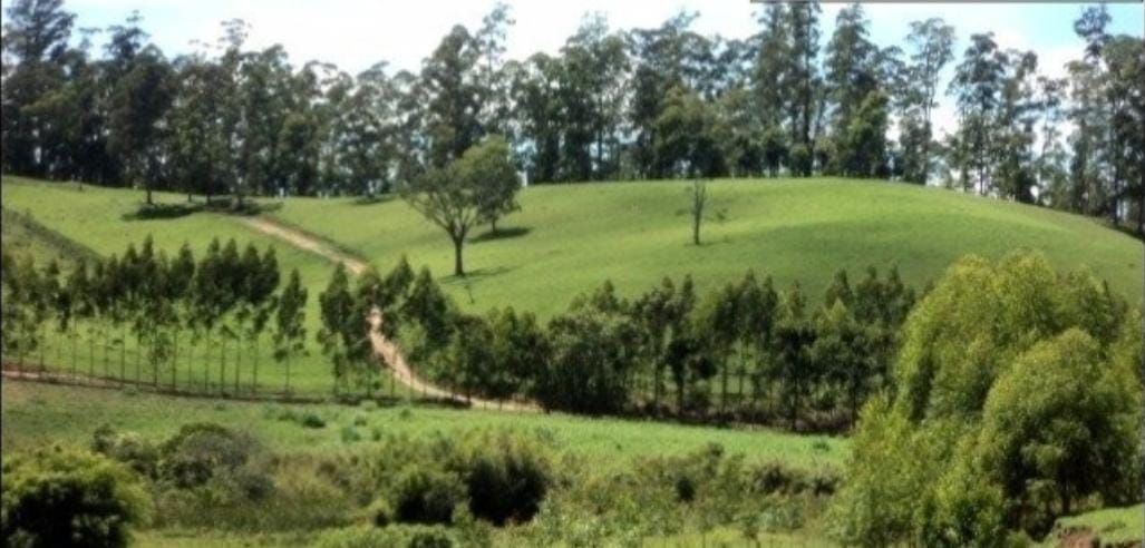 Fazenda-Sítio-Chácara, 300 m² - Foto 5