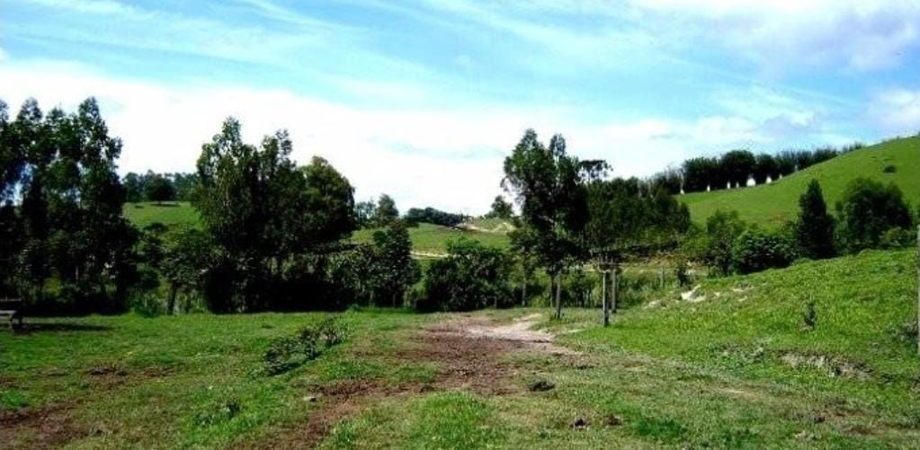 Fazenda-Sítio-Chácara, 300 m² - Foto 6