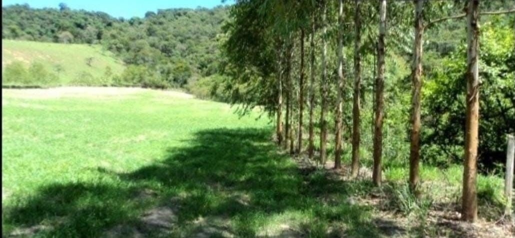 Fazenda-Sítio-Chácara, 300 m² - Foto 8