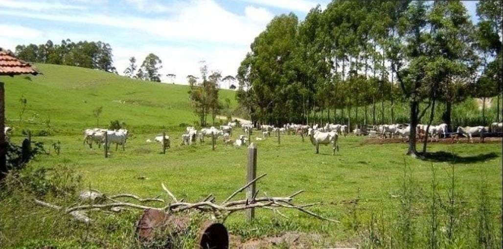 Fazenda-Sítio-Chácara, 300 m² - Foto 2