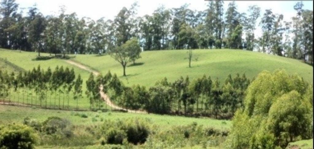 Fazenda-Sítio-Chácara, 300 m² - Foto 9