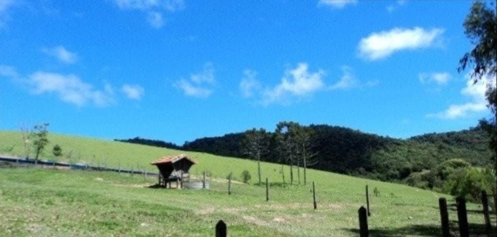 Fazenda-Sítio-Chácara, 300 m² - Foto 12