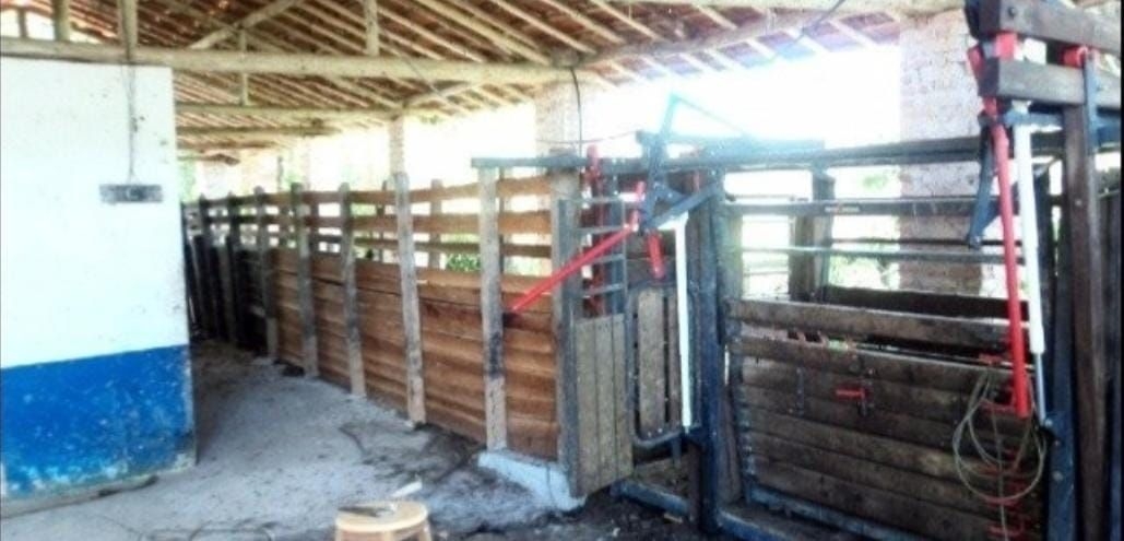 Fazenda-Sítio-Chácara, 300 m² - Foto 14