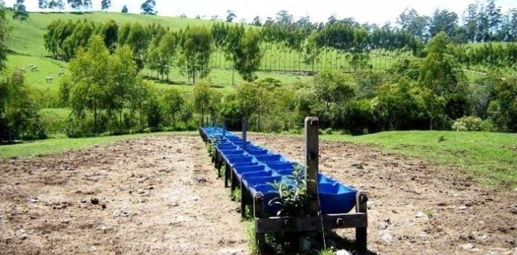 Fazenda-Sítio-Chácara, 300 m² - Foto 15