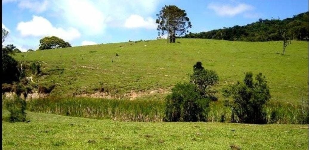 Fazenda-Sítio-Chácara, 300 m² - Foto 17