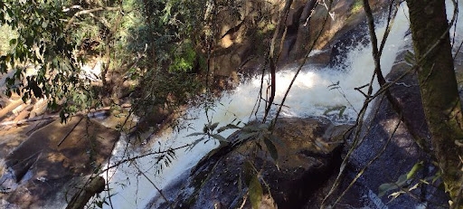 Fazenda, 847 hectares - Foto 2