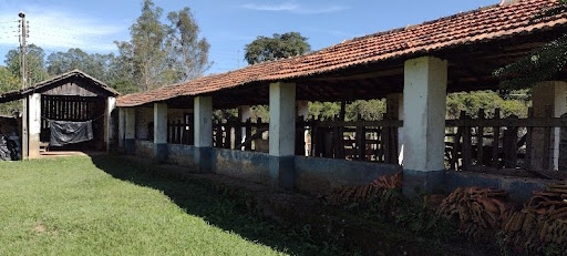 Fazenda, 847 hectares - Foto 4