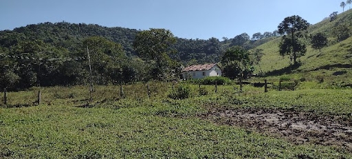 Fazenda, 847 hectares - Foto 5