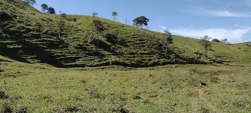 Fazenda em Cunha/São Paulo — Ref XJWU4K — Imagem 18