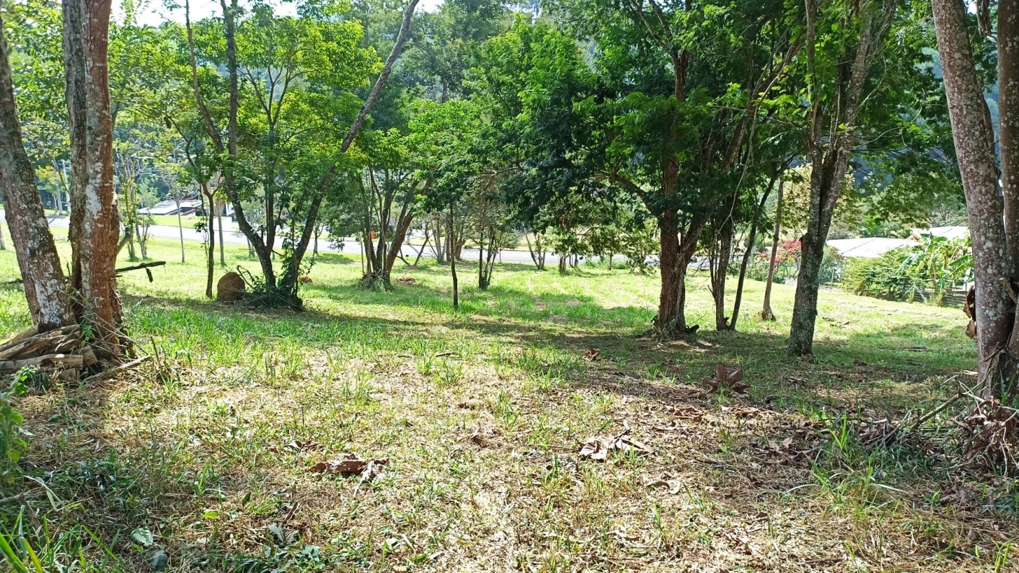 Sítio, 1 quarto, 100 m² - Foto 3