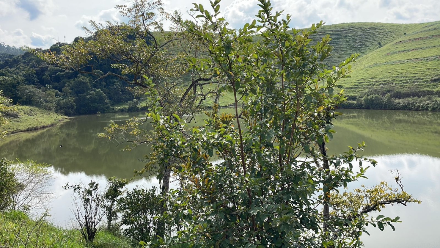 Fazenda em Igaratá/São Paulo — Ref 06F65C — Imagem 121
