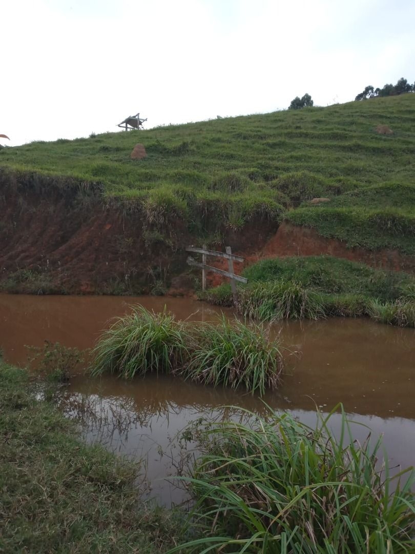 Sítio, 4 quartos, 300 m² - Foto 1