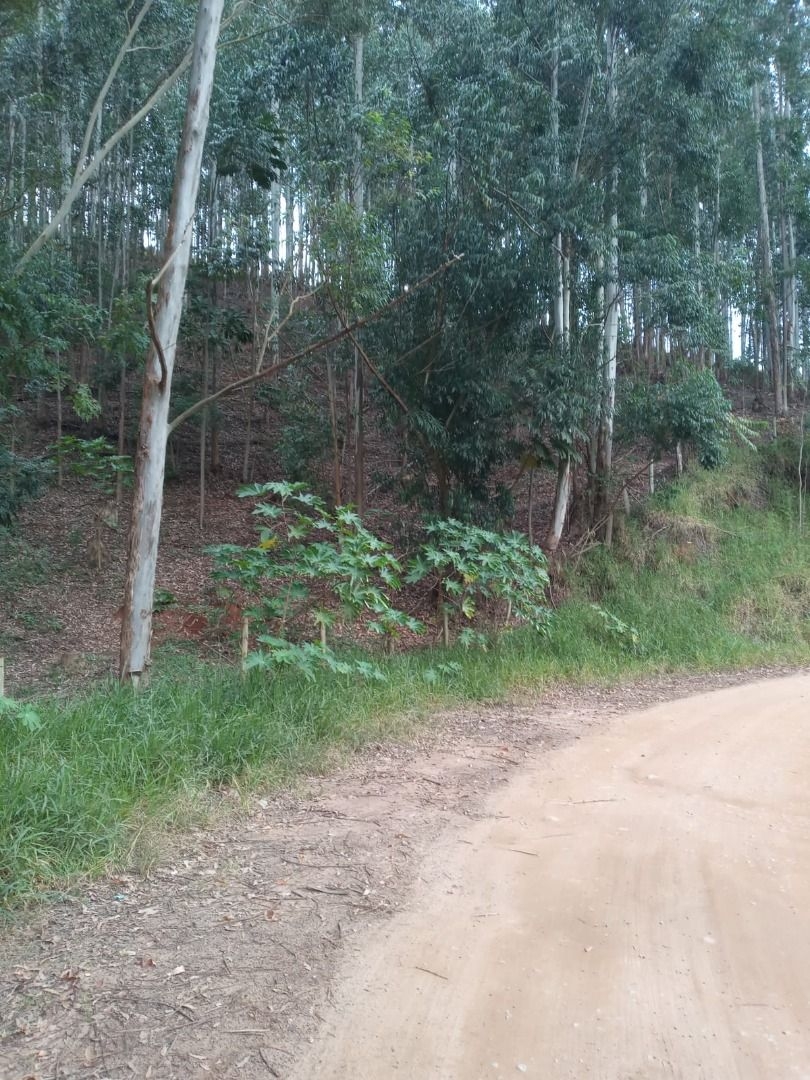 Sítio, 4 quartos, 300 m² - Foto 2