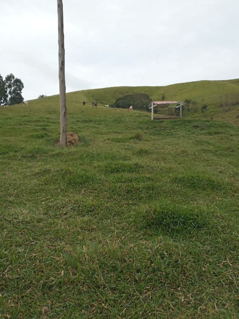 Sítio, 4 quartos, 300 m² - Foto 3