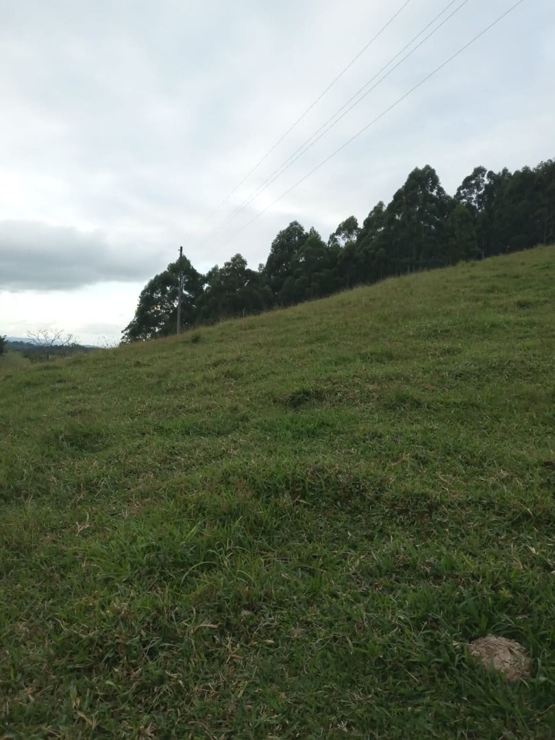 Sítio, 4 quartos, 300 m² - Foto 4