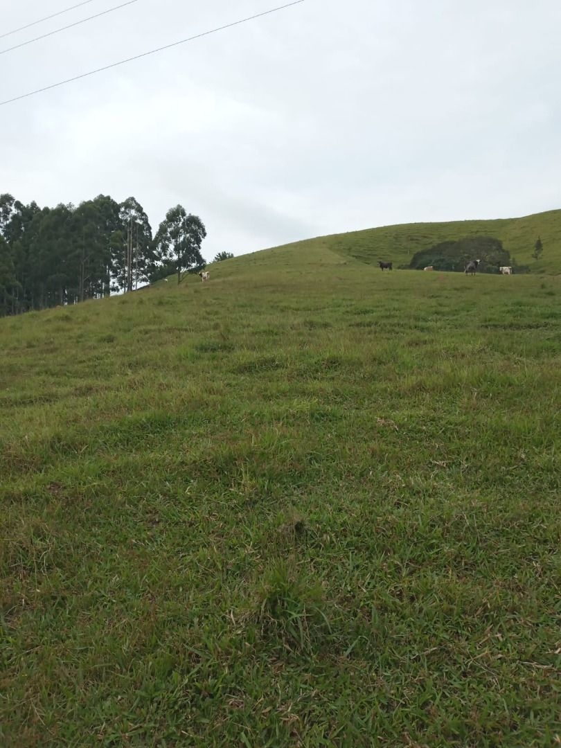 Sítio, 4 quartos, 300 m² - Foto 5