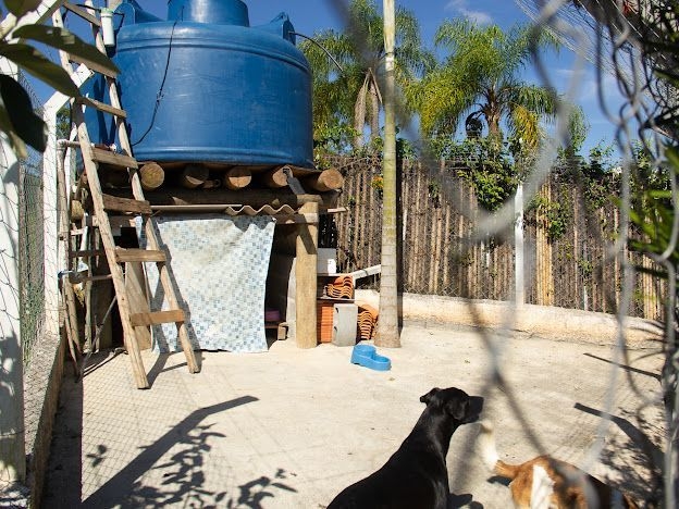 Chácara, 4 quartos, 300 m² - Foto 3