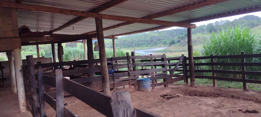 Sítio, 2 quartos, 150 m² - Foto 8