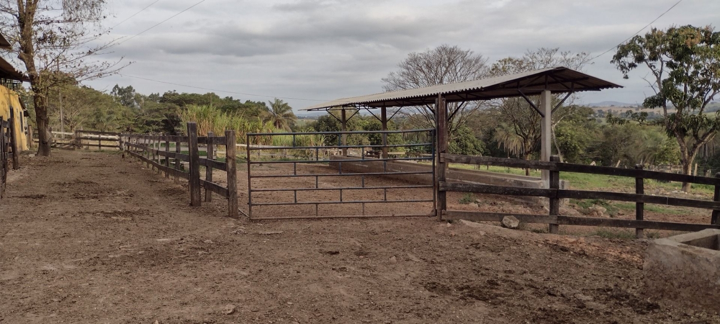 Fazenda-Sítio-Chácara, 100 hectares - Foto 2