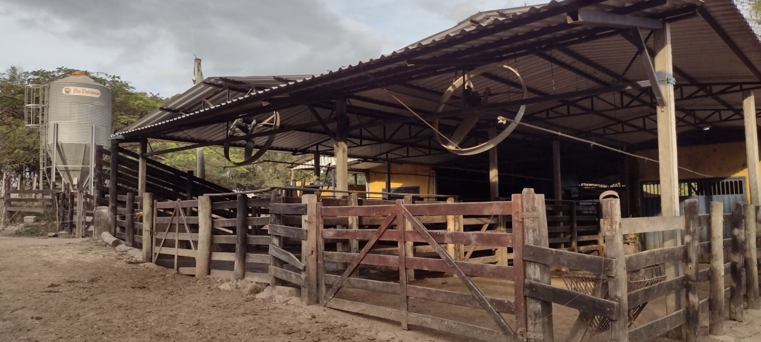 Fazenda-Sítio-Chácara, 100 hectares - Foto 3