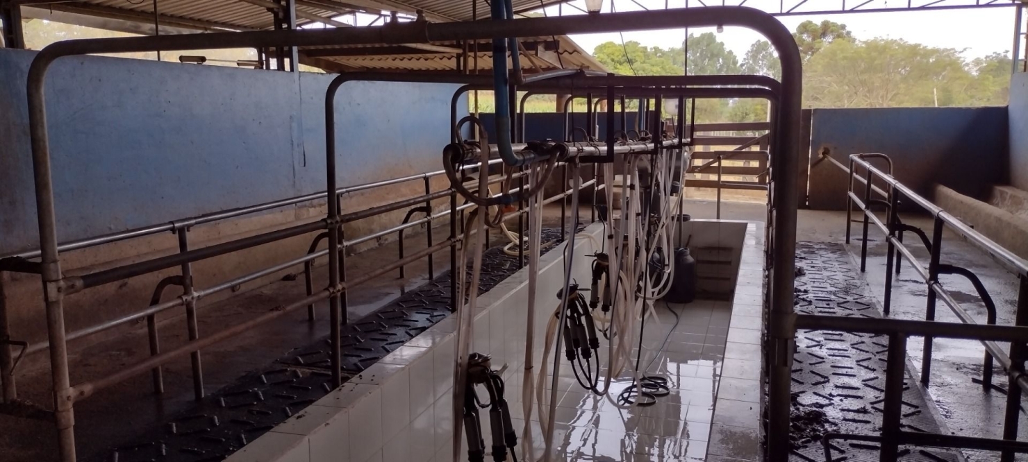 Fazenda-Sítio-Chácara, 100 hectares - Foto 5