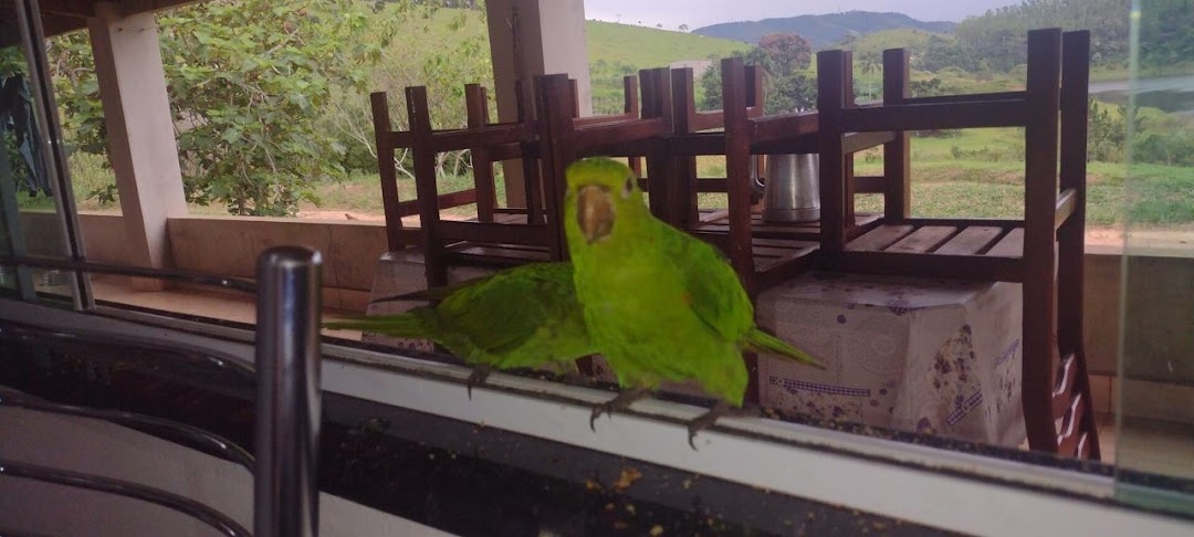 Sítio, 2 quartos, 150 m² - Foto 7